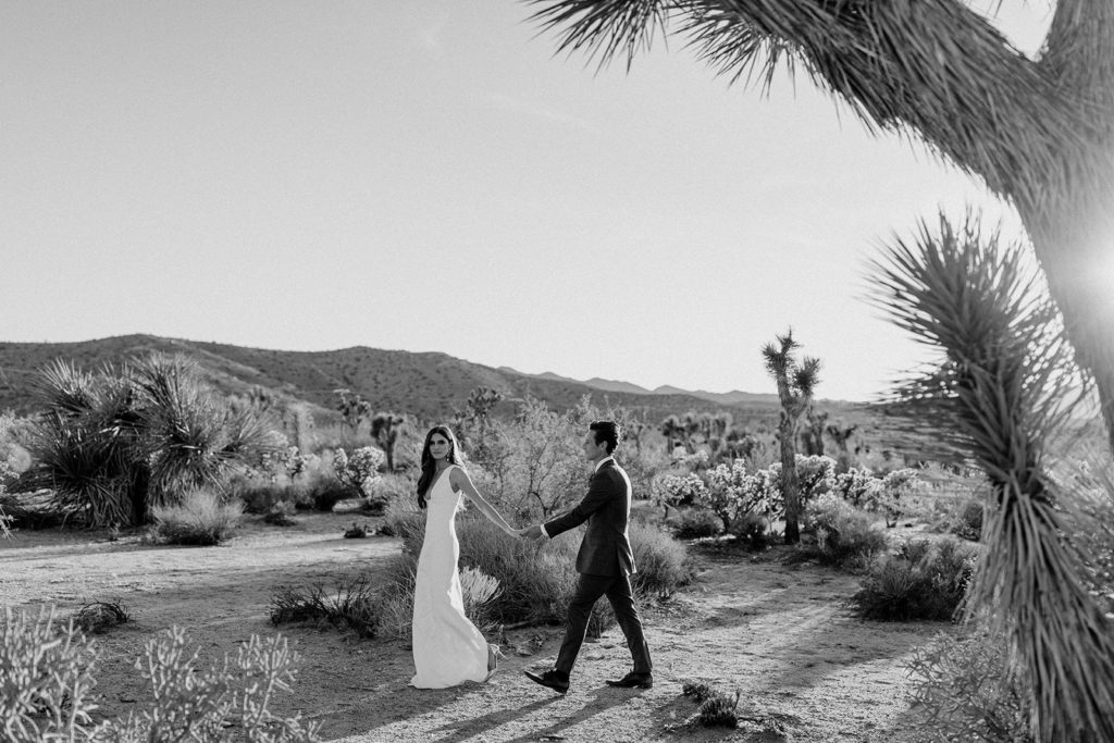 joshua-tree-desert-wedding-photography